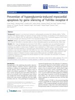 Báo cáo hóa học: 