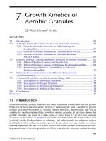Wastewater Purification: Aerobic Granulation in Sequencing Batch Reactors - Chapter 7 docx