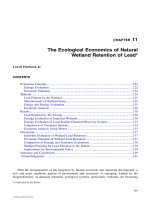 Heavy Metals in the Environment: Using Wetlands for Their Removal - Chapter 11 ppt