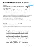 báo cáo hóa học: