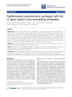 Báo cáo hóa học: 