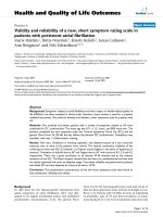 báo cáo hóa học: 