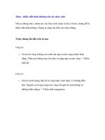 Thừa - thiếu chất dinh dưỡng trên cây thủy sinh pot