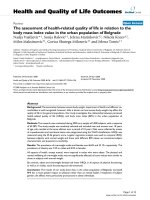 báo cáo hóa học: 