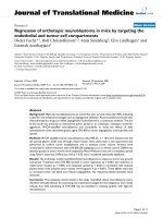 báo cáo hóa học: