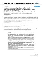 báo cáo hóa học: