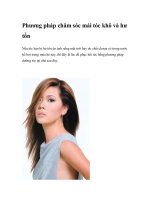 Phương pháp chăm sóc mái tóc khô và hư tổn potx