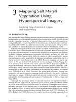 WETLAND AND WATER RESOURCE MODELING AND ASSESSMENT: A Watershed Perspective - Chapter 3 doc