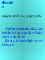 Giáo án điện tử môn môn sinh học: cấu tạo và dinh dưỡng của giun potx