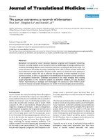 báo cáo hóa học: