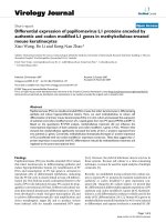 Báo cáo sinh học: 