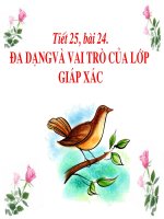 Giáo án điện tử môn môn sinh học: lớp giáp xác ppt