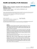 báo cáo hóa học: 