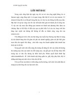 tiểu luận thương mại điện tử xây dựng và phát triên trang web 