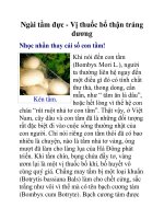 Ngài tằm đực - Vị thuốc bổ thận tráng dương potx