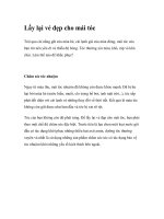 Lấy lại vẻ đẹp cho mái tóc ppt