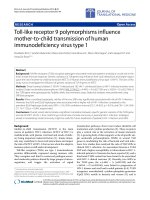 Báo cáo hóa học: 