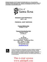 financial audit services_part1 docx