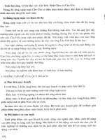 Quản lý đô thị thời kỳ chuyển đổi part 6 docx