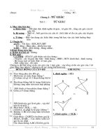 HINH HOC 8 CUC NETDU HUNG SON LA pot