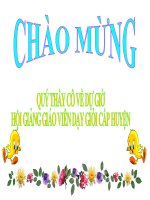 Giáo án điện tử môn môn sinh học: đa dạng của lớp thú_2 pot
