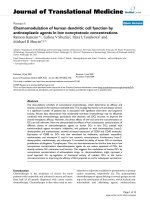 báo cáo hóa học: