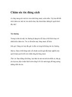 Chăm sóc tóc đúng cách docx