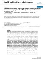 báo cáo hóa học: 