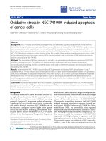 Báo cáo hóa học: 