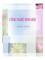 bài giảng công nghệ sinh học chương 1 mở đầu