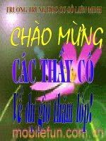 Bài giảng điện tử môn sinh học: loài châu chấu_1 docx