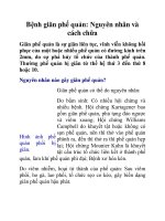 Bệnh giãn phế quản: Nguyên nhân và cách chữa ppt