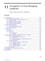 Biology of Marine Birds - Chapter 11 pot