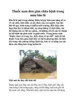 Thuốc nam đơn giản chữa bệnh trong mùa bão lũ potx