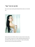 “Spa” cho tóc tại nhà pot