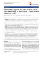 báo cáo hóa học: 