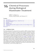 Fate of Pharmaceuticals in the Environment and in Water Treatment Systems - Chapter 16 (end) pptx