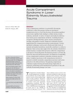 Chấn thương cơ xương potx