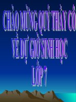 Bài giảng điện tử môn sinh học: đa dạng của bò sát pptx