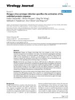 Báo cáo sinh học: 