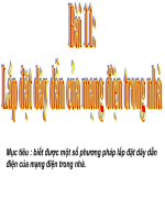 Giáo án điện tử công nghệ: lắp đặt dây dẫn của mạng điện tử trong nhà pot