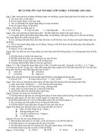 De cuong On tap Tin 10 HK1 doc