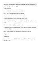 Thủ tục Ghi vào sổ hộ tịch các việc hộ tịch của công dân Việt Nam đã đăng ký tại cơ quan có thẩm quyền của nước ngoài pptx