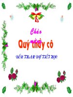 Bài giảng điện tử môn sinh học: ngành thân mềm ppt