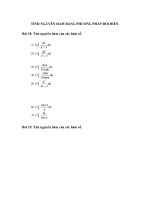 TÍNH NGUYÊN HÀM BẰNG PHƯƠNG PHÁP ĐỔI BIẾN pptx