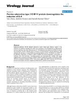 Báo cáo sinh học: 