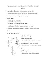 TIẾT 57: CÁC DẠNG CÂN BẰNG. MỨC VỮNG VÀNG CỦA CÂN BẰNG doc