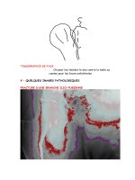 Techniques de manipulations en radiologie medicale - part 8 potx