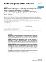 báo cáo hóa học: 