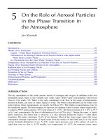 AEROSOL CHEMICAL PROCESSES IN THE ENVIRONMENT - CHAPTER 5 pot